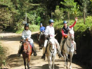 cabalgata_mtverde.jpg