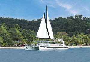 catamaran100.jpg