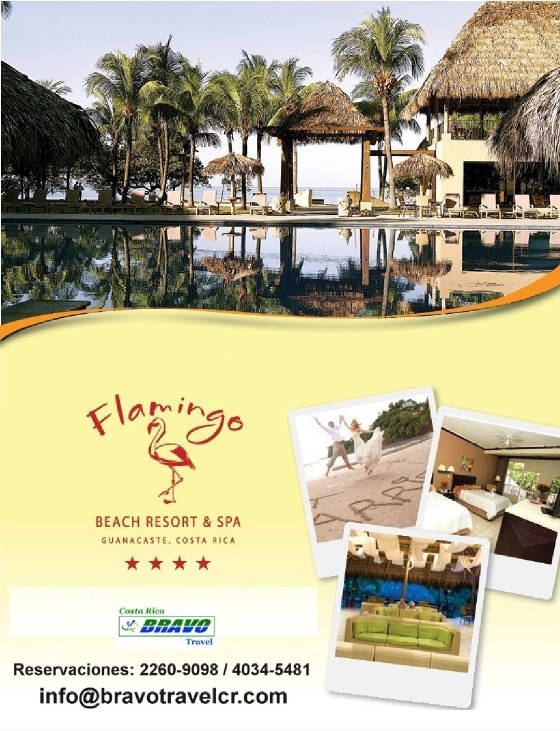flamingo_beach2.jpg