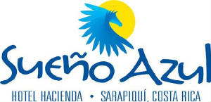 sueno_azullogo.jpg