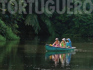 tortuguero4.jpg