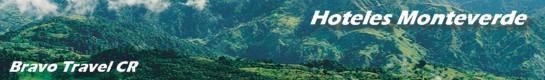 bannerhotelesmonteverde.jpg