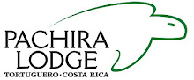 logo-pachira.jpg