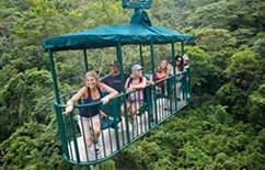 teleferico-bosque-lluvioso.jpg